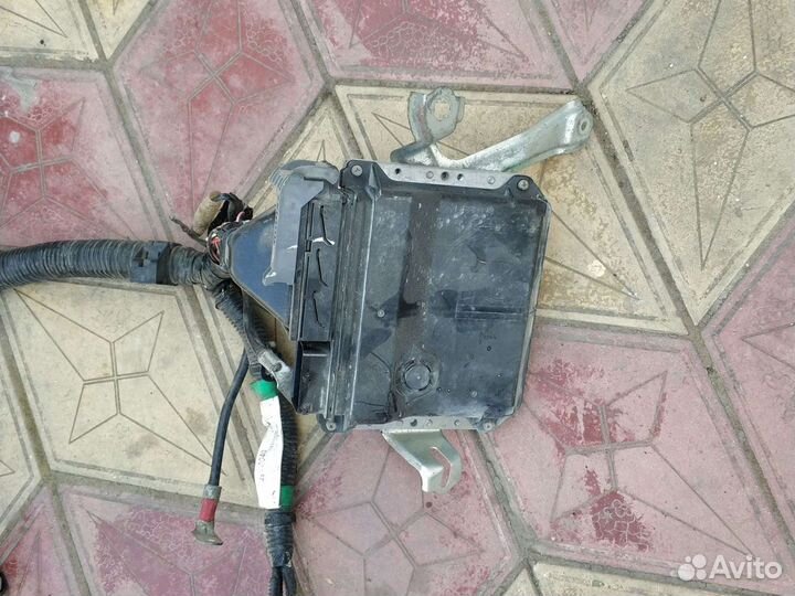 Электропроводка на Тойота Yitz