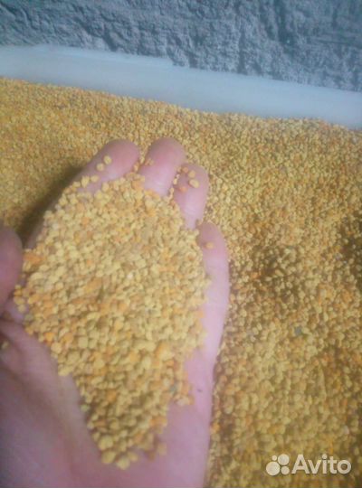 Пыльца пчелиная 2023