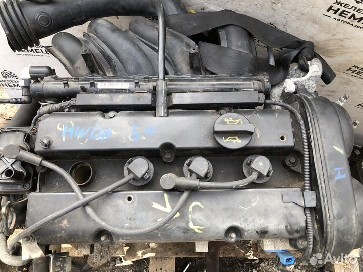 Двигатель hwda Ford Focus 2