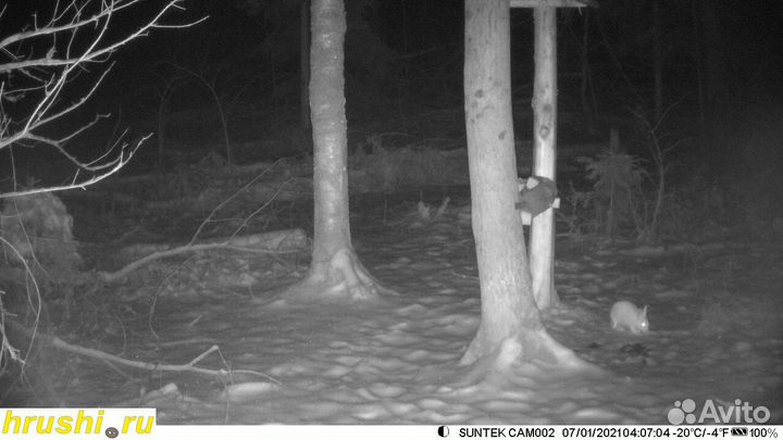 Фотоловушка Suntek hc900м(GSM) фото на Почту / MMC