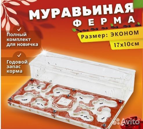 Муравьи, формикарии