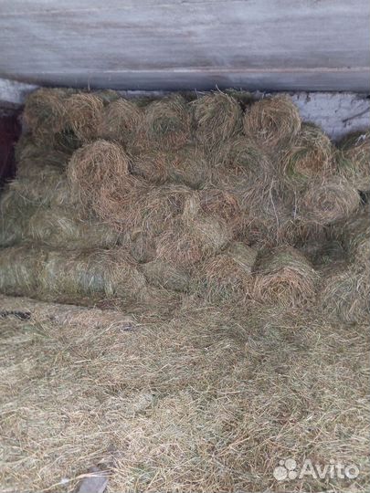 Сено люцерны