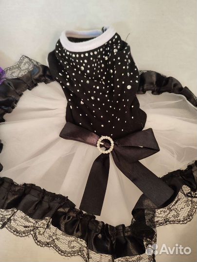 Одежда для маленьких собак xs