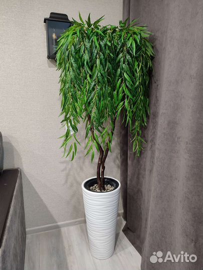 Искусственные деревья глициния, манго, фикус