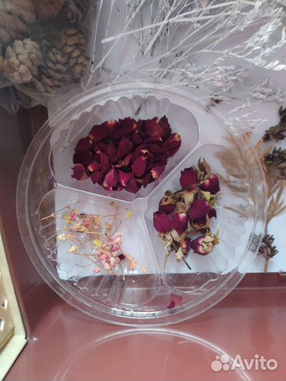 Сухоцветы для творчества