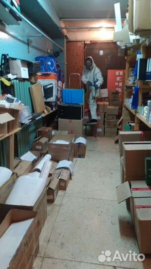 Уничтожение клопов тараканов клещей муравьёв блох