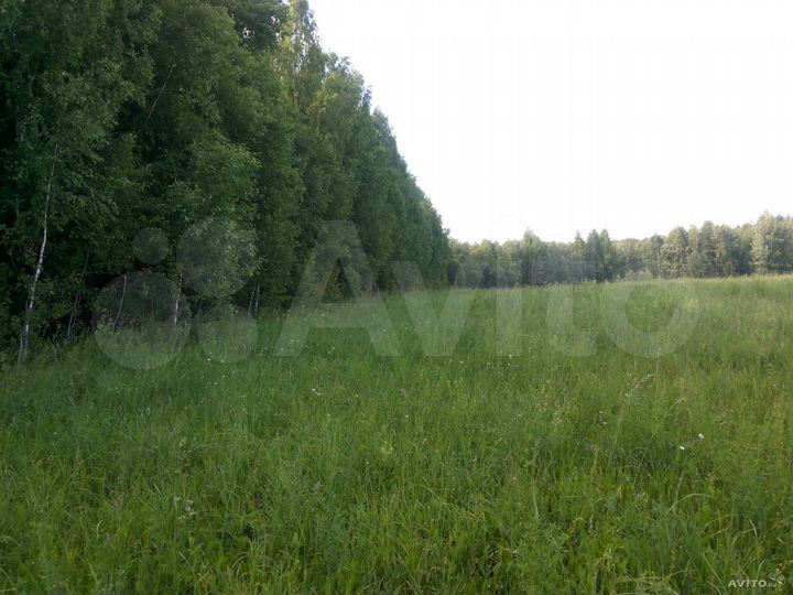 Участок 3,18 га (СНТ, ДНП)