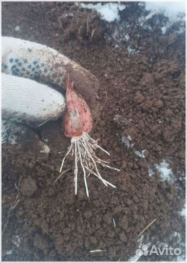 Готовый бизнес инвестиции