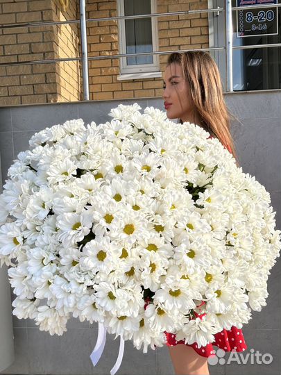 Букет из хризантем с доставкой