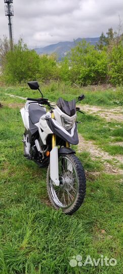 Рейсер 300