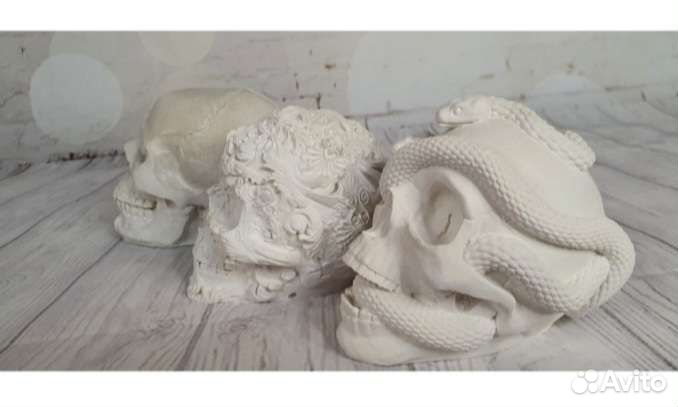Черепа из гипса