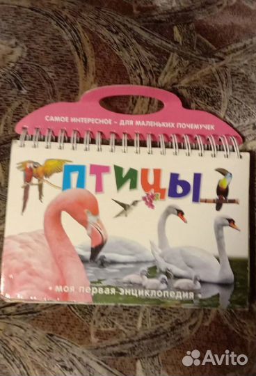 Книга для детей моя первая энциклопедия птицы
