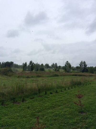 Участок 17 сот. (ИЖС)