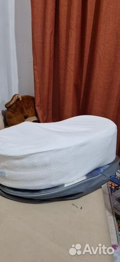 Кокон зевушка