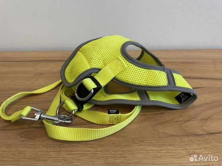 Шлейка с поводком для щенка или маленькой собаки