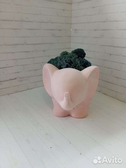 Кашпо со мхом