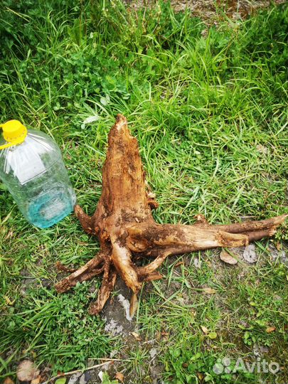 Коряга для аквариума