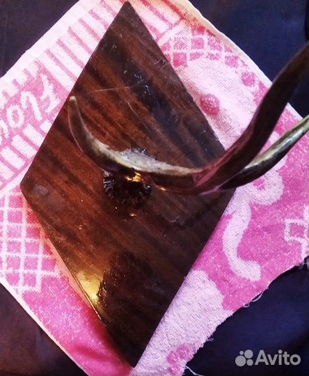 Вешалка Рога косули