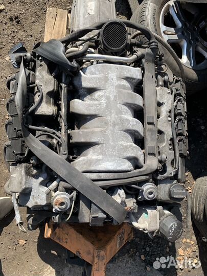 Двигатель Mercedes M113.960