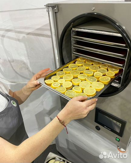 Сублимационная сушка