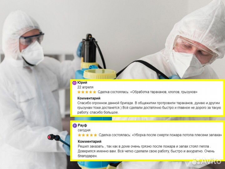 Дезинфекция тараканов клопов крыс плесени запаха