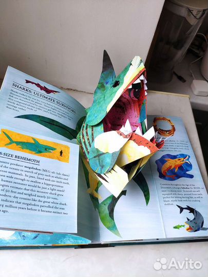 English английские книги Sharks&other sea monsters