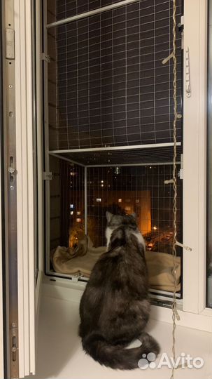 Балкон для кошки