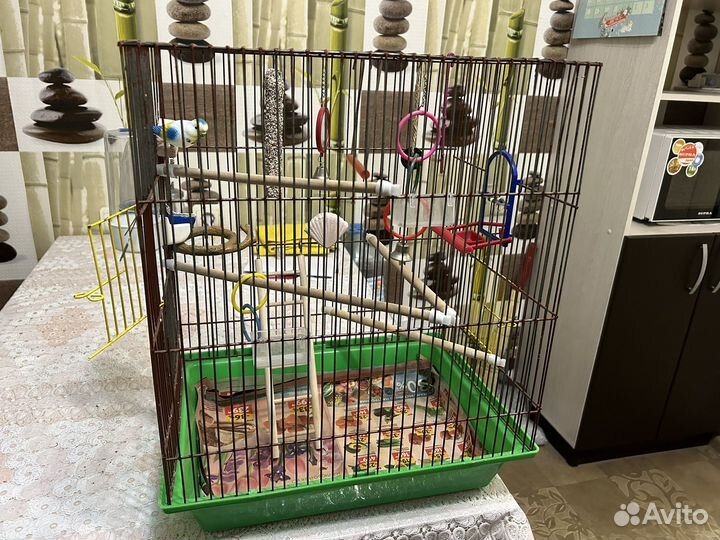 Клетка для попугая и аквариум с фильтром