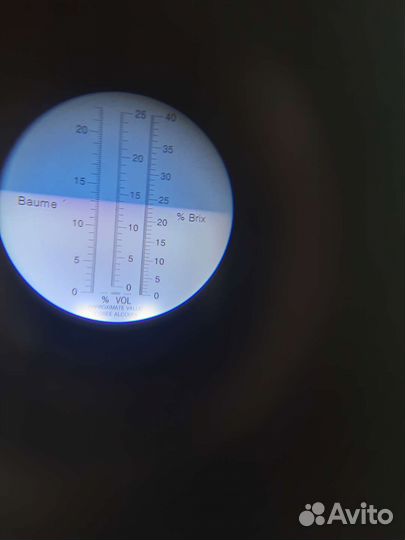 Виноград Саперави северный чубуки и саженцы