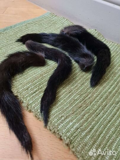 Хвостики норки - 31 шт. (на поделки) - новые