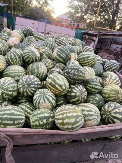 Арбузы