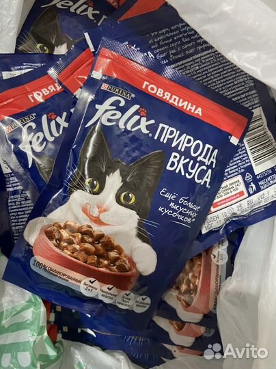 Влажный корм для кошек