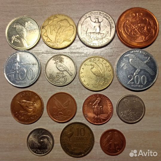 Монеты птицы