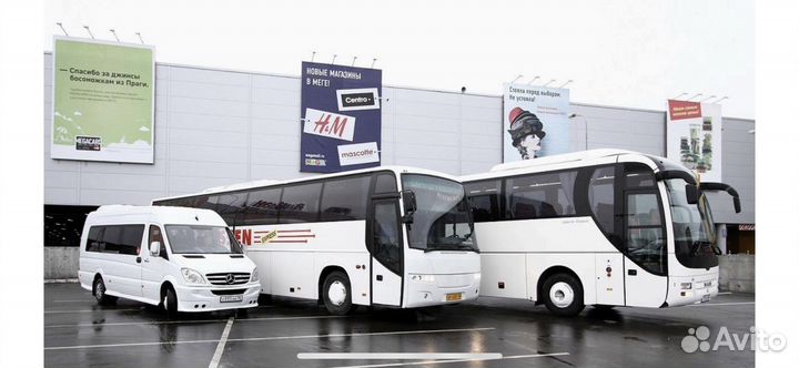 Водитель категории д