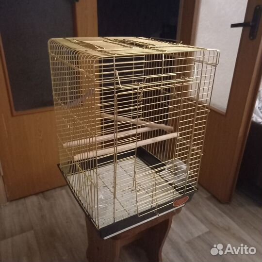 Попугай корелла мальчик с клеткой