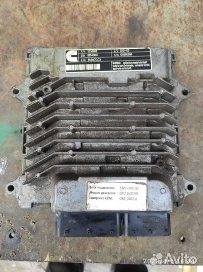 Эбу мозги Каммингс газель 2.8