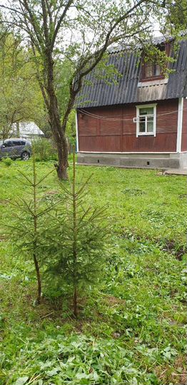 Дом 80 м² на участке 10 сот.