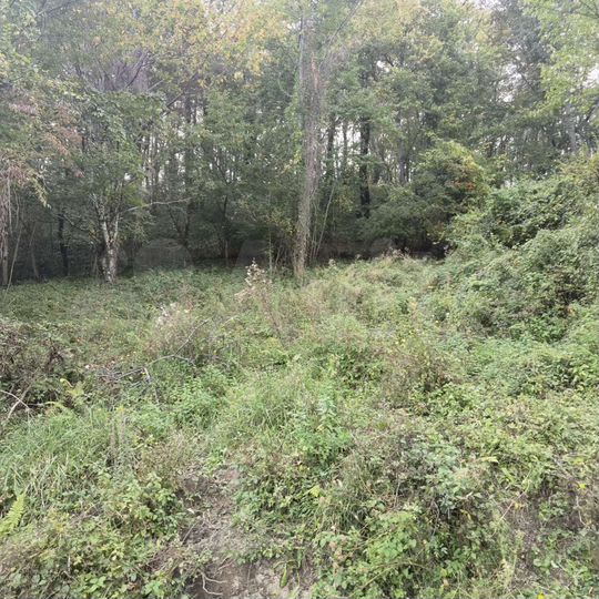 Участок 5 сот. (СНТ, ДНП)