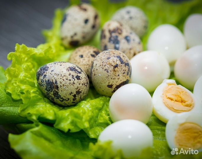 Яйца перепелиные домашние