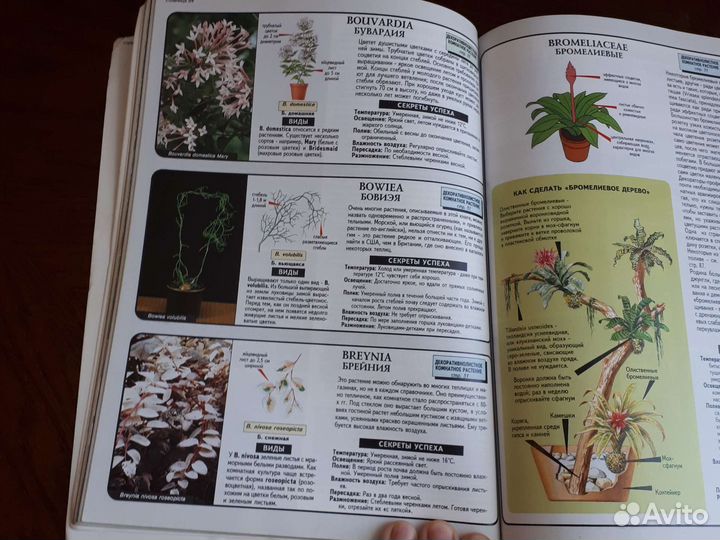 Книга о комнатных растениях