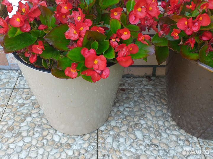 Уличные вазоны- кашпо для цветов