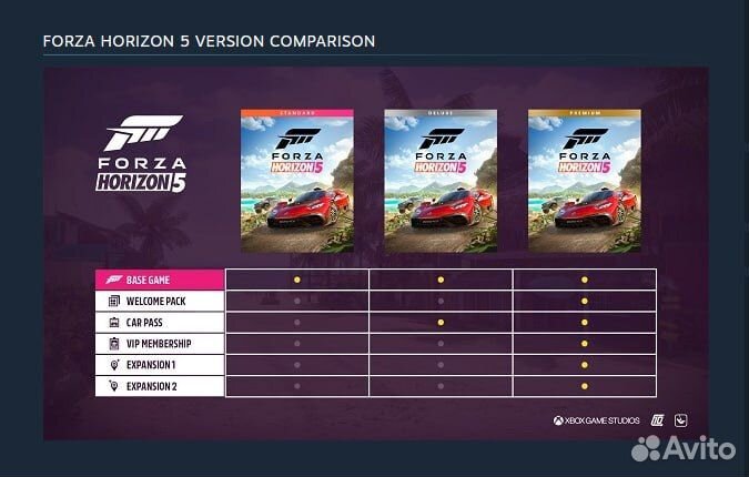 Forza Horizon 5 steam pc