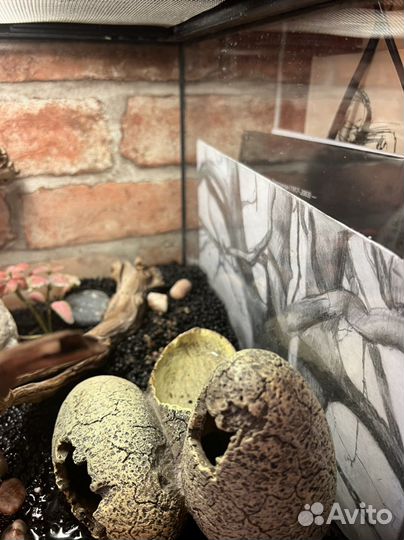 Террариум для рептилий exoterra