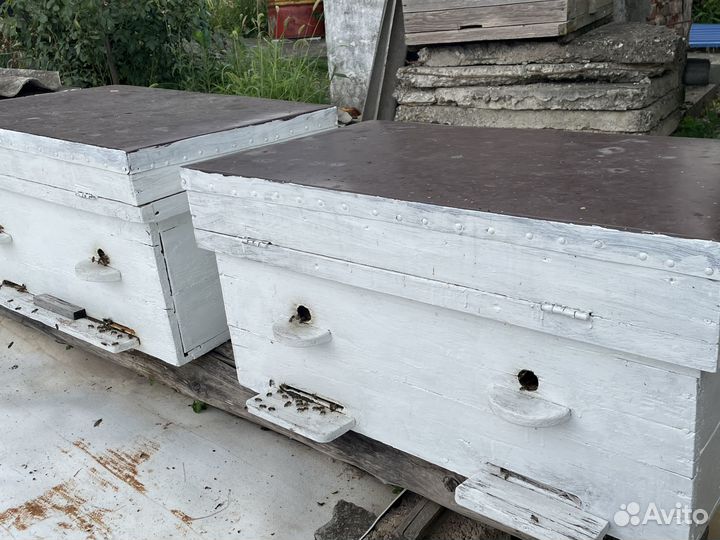 Пчелы и улья