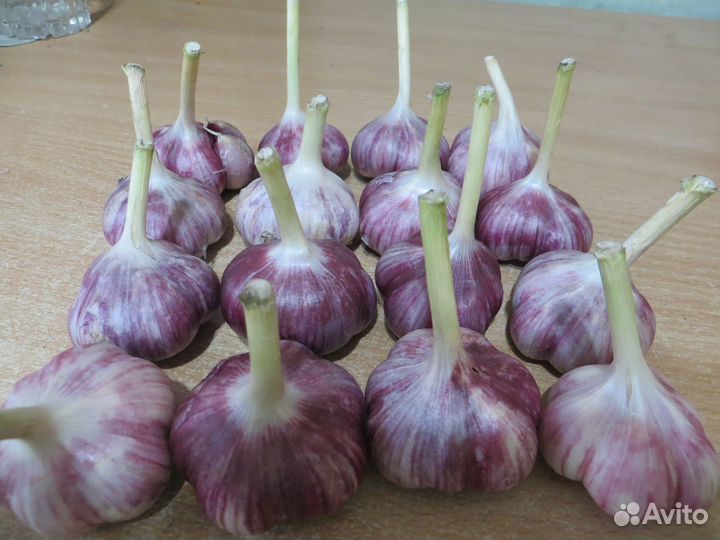 Продам огурчики обычные, корнишончики, чеснок шт