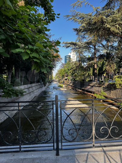 Комната 15 м² в 1-к., 1/2 эт.