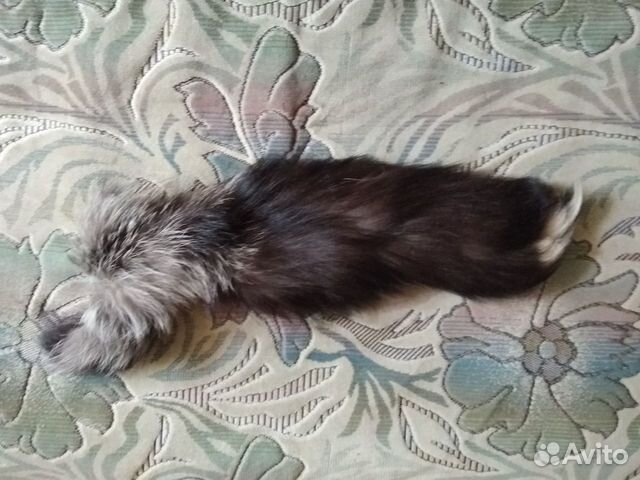 Шкурки серебристой чернобурки (выделанные)