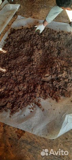 Пивная дробина