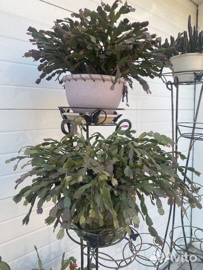 Подставка для цветов напольная