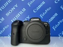 Canon r6 (0014)